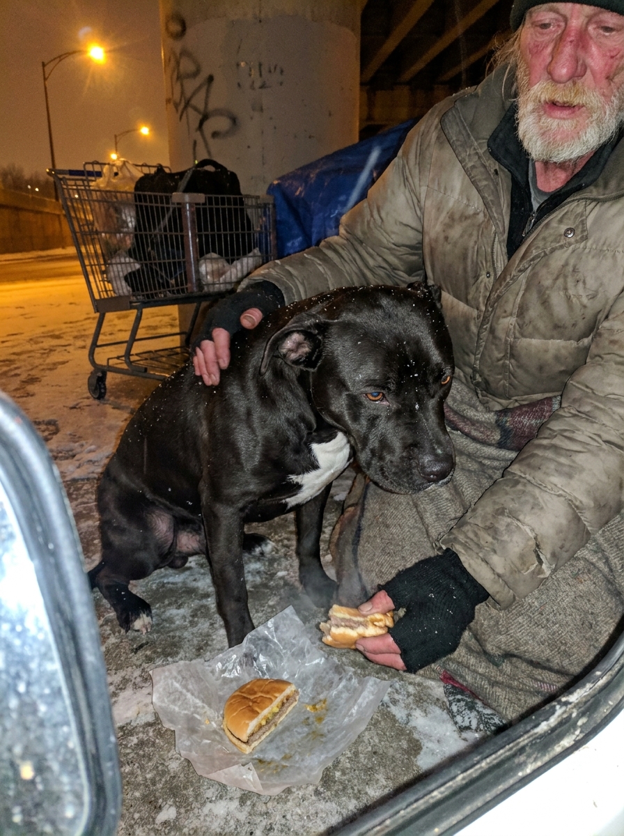 Part 2: A Homeless Man Split His Last Hamburger With a Stray Dog Under a Chicago Overpass in January. Six Weeks Later, the Dog Dragged a Stranger Twelve Blocks Through the Snow — and a Doctor Said Twenty More Minutes Would Have Been Too Late.