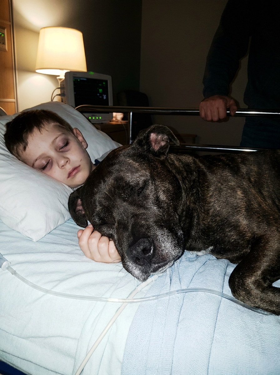 Part 2: My 10-Year-Old Hadn’t Slept in Two Weeks in the Hospital — A Nurse Broke the Rules to Bring In the One Thing He Kept Asking For