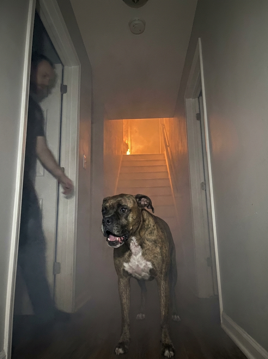 Part 2: Our Rescue Dog Hadn’t Made a Sound in Two Years. At 3 A.M. the Night Our House Caught Fire, He Barked Once — and It Was the Last Sound He Would Ever Make.